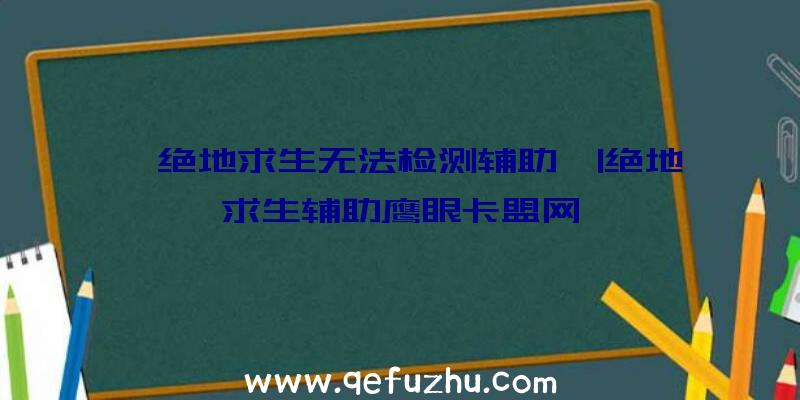 「绝地求生无法检测辅助」|绝地求生辅助鹰眼卡盟网